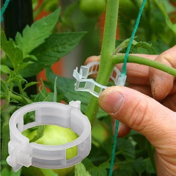 50pcs Ντομάτα Κάτοχος Applicator Λαχανικών Πεπόνι Εργοστάσιο Πόρπη Φυτό Κλιπ Πλαστικό Γραβάτα Φάκελο Ευελιξία να Μην Πληγώνει τα Σπορόφυτα