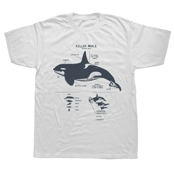 Αστεία Φάλαινα Δολοφόνος Ανατομία Θαλάσσια Βιολογία Άγριας πανίδας Παραλία T Shirts Γραφικών Streetwear Κοντό Μανίκι Δώρα Γενεθλίων Καλοκαίρι T-shirt