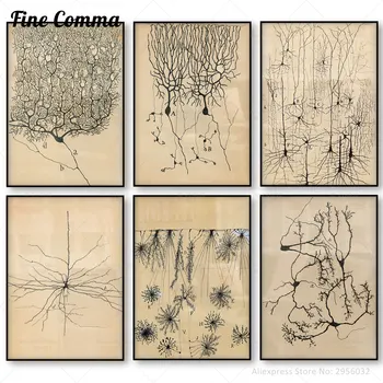 Santiago Ramon y Cajal Νευρώνα Σχέδιο Εκλεκτής ποιότητας Αφίσα Ανατομίας του Εγκεφάλου Τέχνη Τοίχων Καμβά Εκτύπωσης Νευροεπιστήμες Βιολογία Εικόνα Διακόσμηση